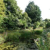 Gooderstone Water Gardens