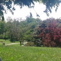 Parco Turani Redona