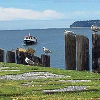 Historic Plover Ferry