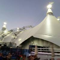 Cavalia