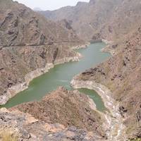 Presa del Parralillo