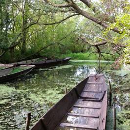Bootsfahrten im Taubergießen