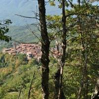 Pania di Corfino