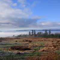 Cooper Mountain Nature Park