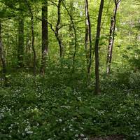 Dolina Bystrzycy Landscape Park