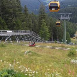 Alpin Bob