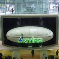 Kawasaki Azalea