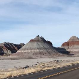 Petrified Forest National Park