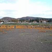 Farm Store at Kellogg Ranch