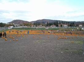Farm Store at Kellogg Ranch