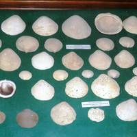Museo Etnoantropologico e Naturalistico ICAN Domenico Ryolo