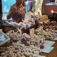 Marche Hebdomadaire de Roussillon