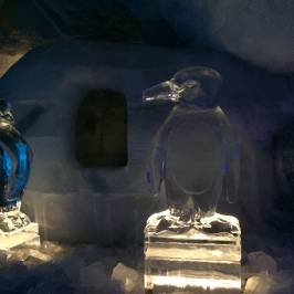 Ice Pavilion