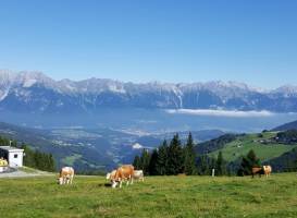 Mieders Alpine Coaster