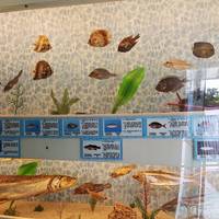 Taijiang Fish Specimen Biodome
