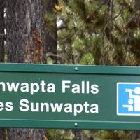 Sunwapta Falls