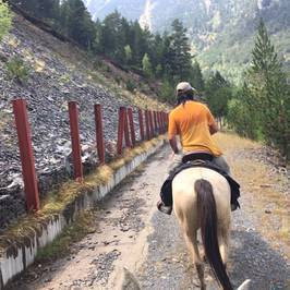 Wild Horse Pirineus Outdoor