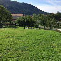 Fattoria dell'Aldone