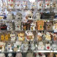 Lucky Cat Museum