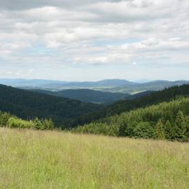 Snieznicki Landscape Park