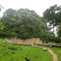 Site Naturel des Plomarc'h