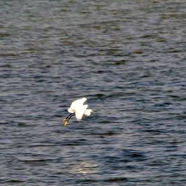 La laguna di Grado e i suoi Casoni