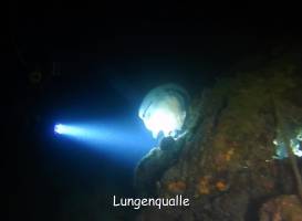 The Old Diver