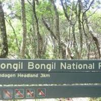 Bongil Bongil National Park