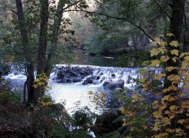 Site Corot