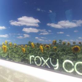 Roxy Car