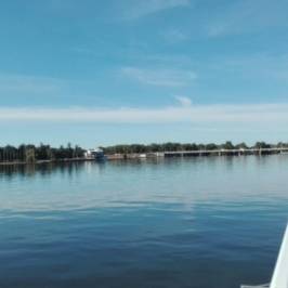 Les bords de l'Allier