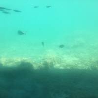 Aquavision