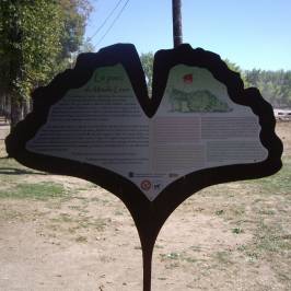 Parc Du Moulin Liron
