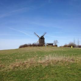 Bockwindmühle Pudagla
