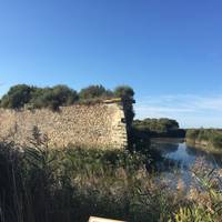 Fort de Peccais