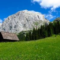 Val Sesis