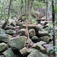 Trilha Cachoeira da Solidão