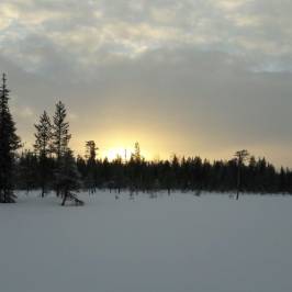 Due North Safaris