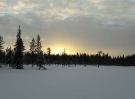Due North Safaris