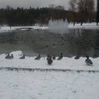 Pikku Vesijärvi