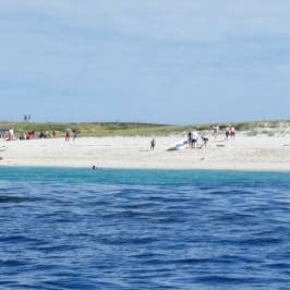 La Plage du Cap Coz
