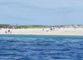 La Plage du Cap Coz