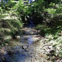 Blackcomb Ascent Trail