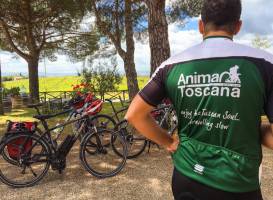 Anima Toscana Bike Tour
