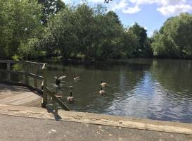 Millers Pond