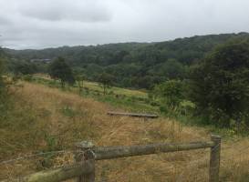 Hutchinson's Bank