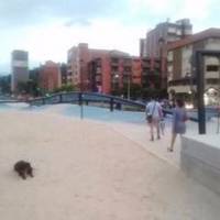 Parques del Rio