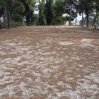 Parco Montinope