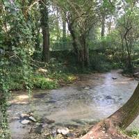 Terme Varroniane