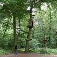 Kletterwald Speyer